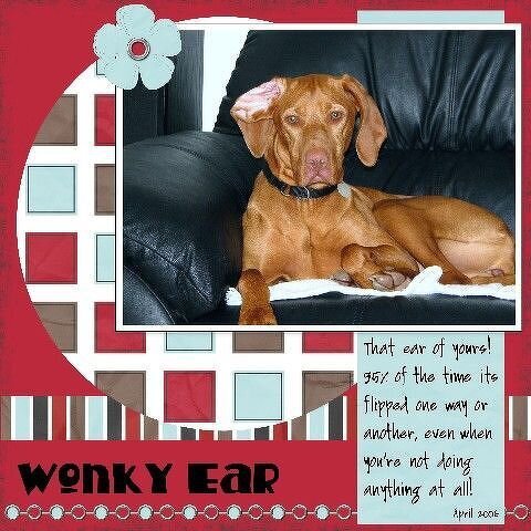 Wonky Ear