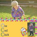 One Cool Chick