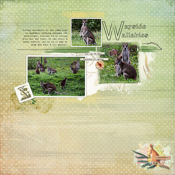 Wayside Wallabies