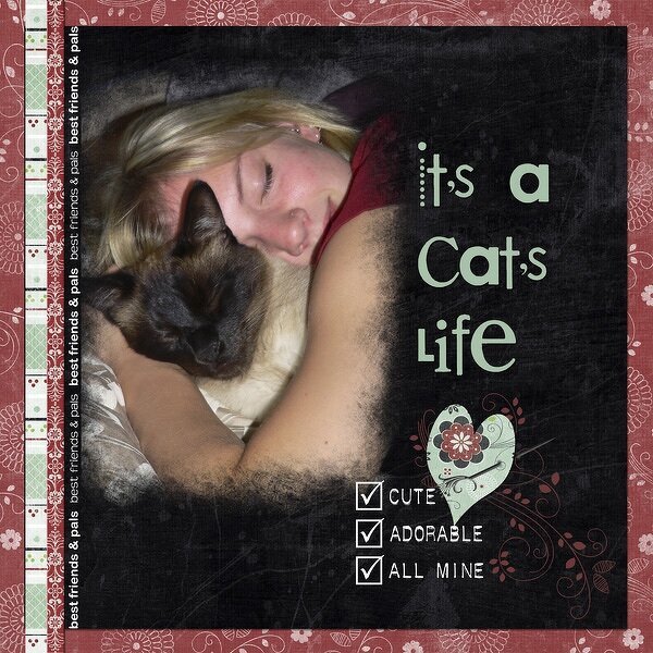It&#039;s a Cat&#039;s Life