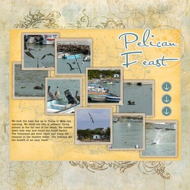 Pelican Feast