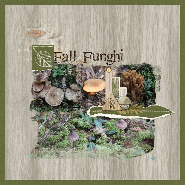 Fall Funghi