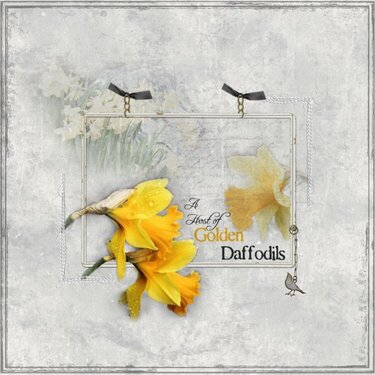 Daffodils