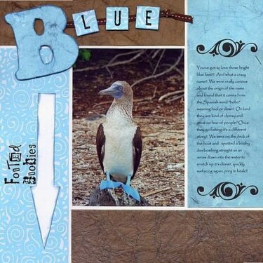 Blue Footed Boobies - Paper Tapestry