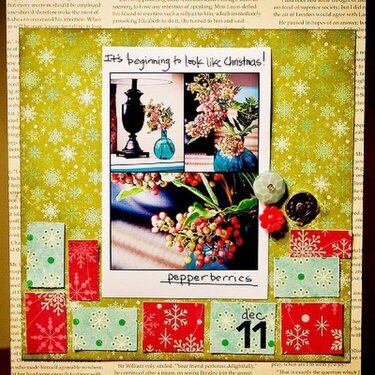 Themed Projects :Pepperberries