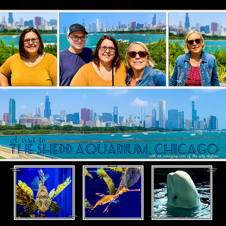 Chicago - Shedd Aquarium