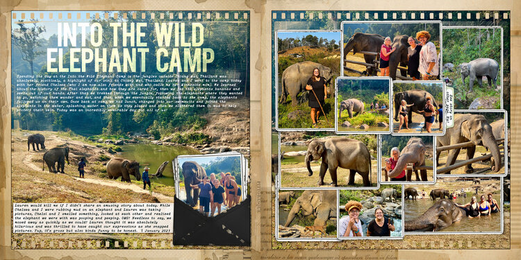 Into the Wild Elephant Camp - Chiang Mai, Thailand