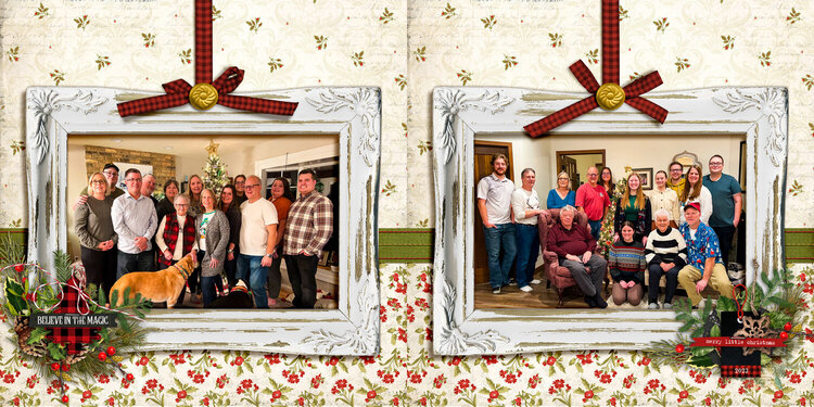 Family Christmas Photos