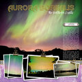 Auora Borealis - The Northern Lights