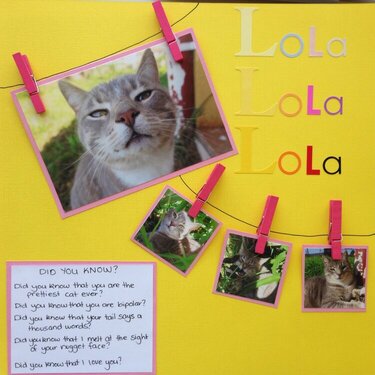 Lola the cat