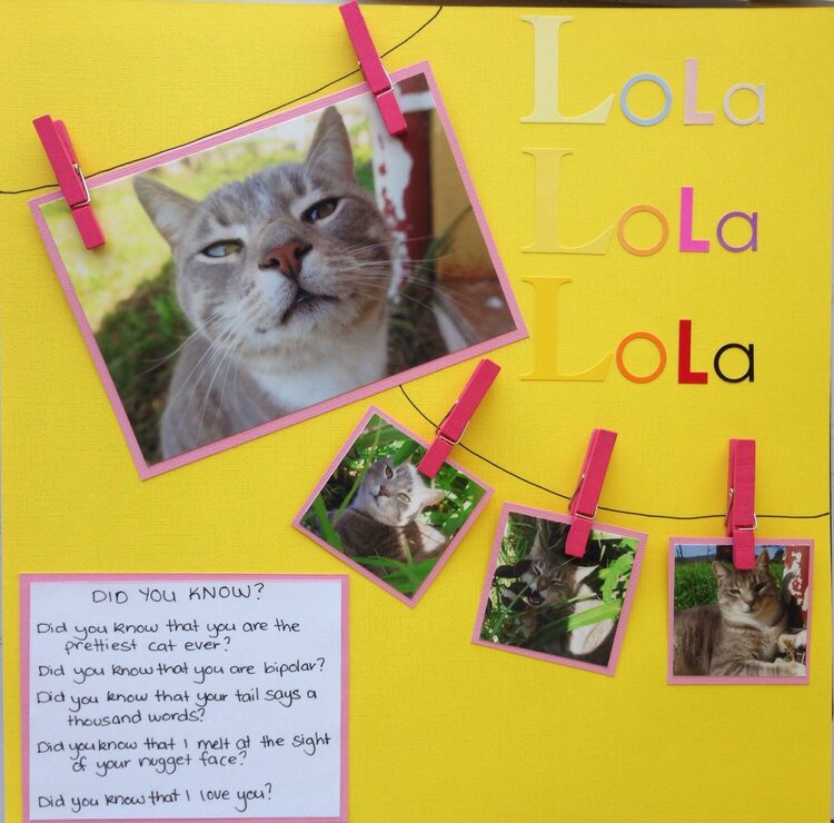 Lola the cat