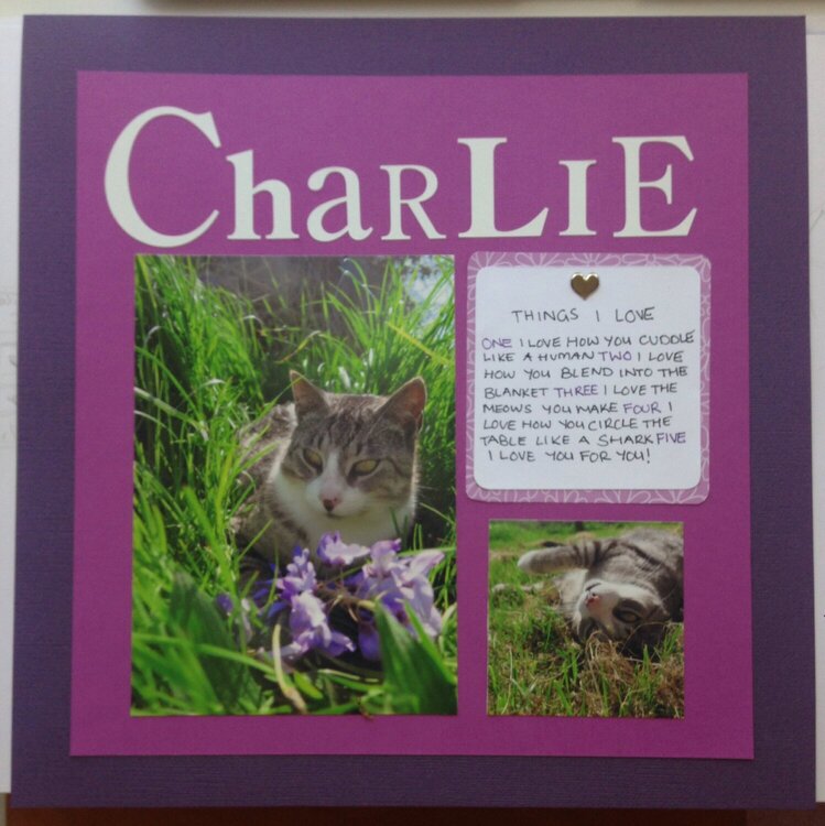 Charlie the cat