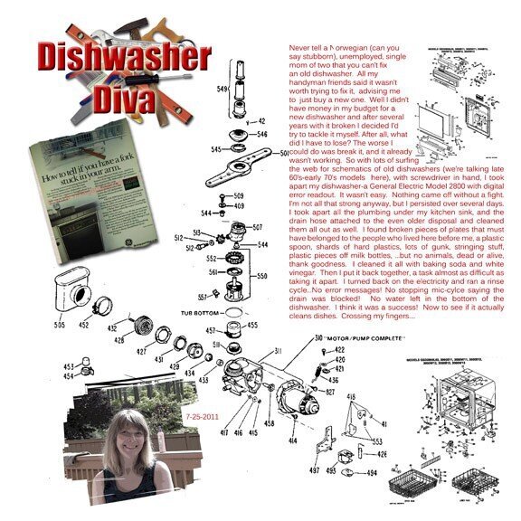 Dishwasher Diva