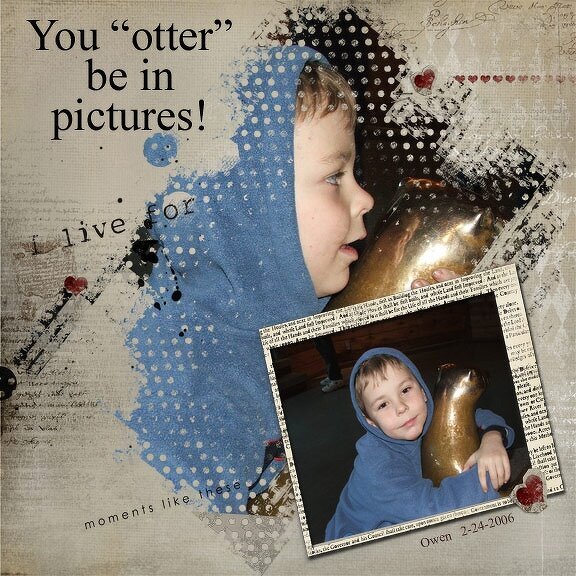 You otter be in pictures