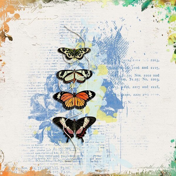 Butterflies -