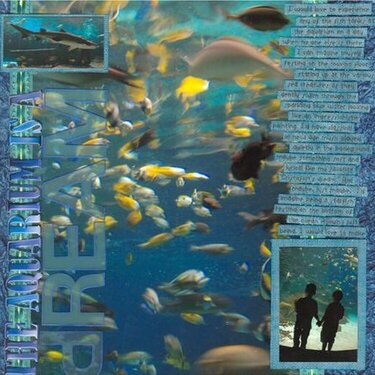 The Aquarium is a Dream - MM Color book