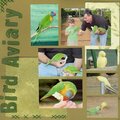 Bird Aviary [Jump Start January Challenge #2]