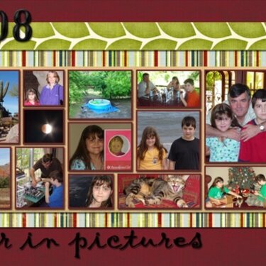 2008 - A Year in Pictures
