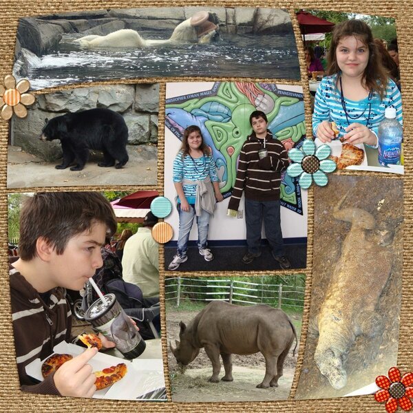 ~ A Day at the Zoo ~