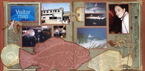 Monterey Bay Aquarium - Club Scrap Fossils Kit