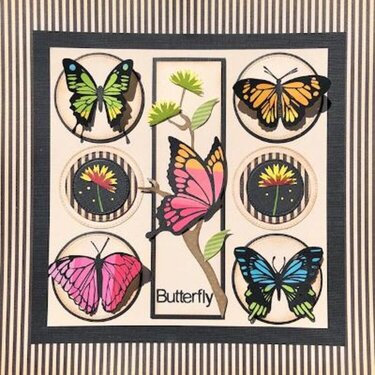 August Sampler Class - The Butterfly