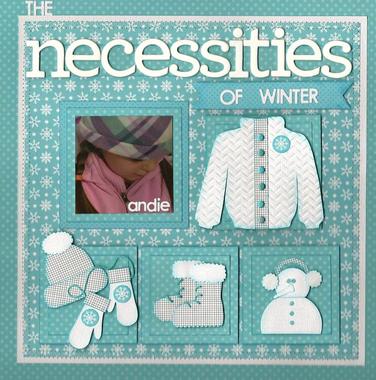 Necessities Of Winter.....