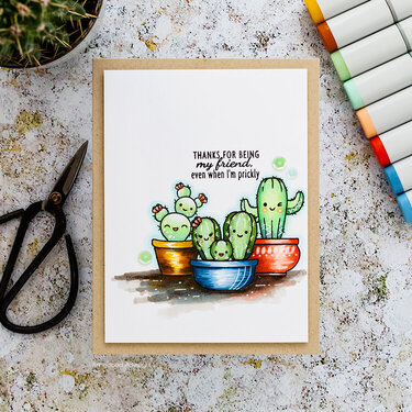 Cuddly Cacti