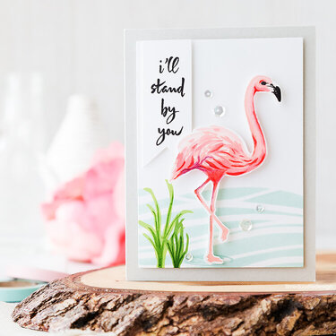 Who doesn&#039;t love flamingos?
