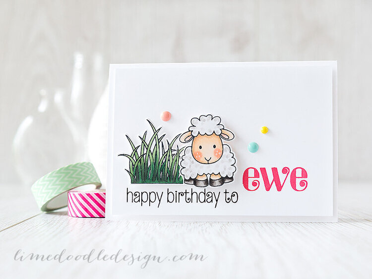 happy birthday to ewe