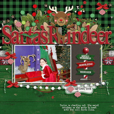 2006 Reindeer on the way to Santa
