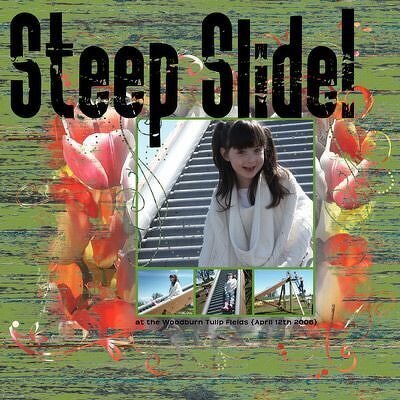 *{Tulip Festival&#039;s Steep Slide}*