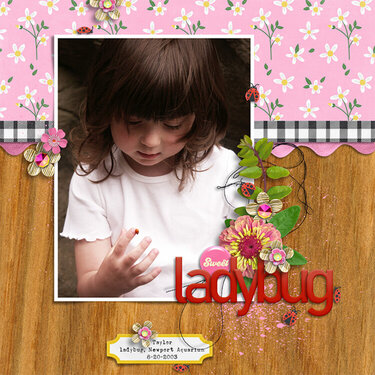 2003 Ladybug