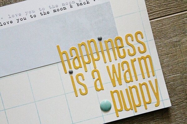 Happiness is a warm puppy
