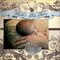 Baby Boy Book 