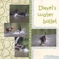 Journaling Challenge #7 - Diesel's Water Ballet