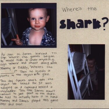 Where's the Shark?