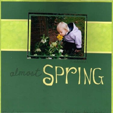 Daffodils--Sunday Layout Challenge, 3/17 & 3/24