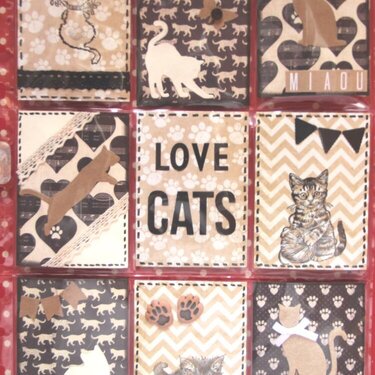 Love cats