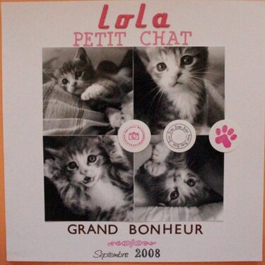 Lola petit chat