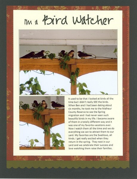 I&#039;m a Bird Watcher