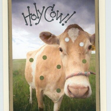 Holy Cow Card