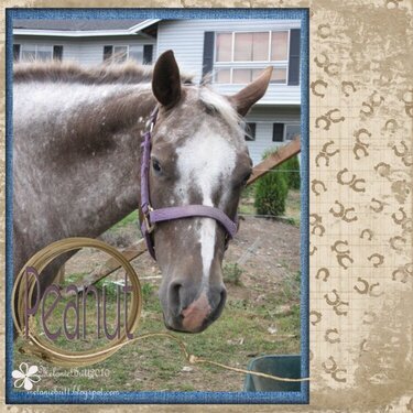 It&#039;s a horse of course. 