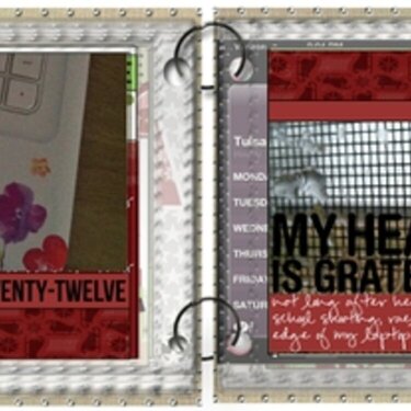 December Daily 2012 Day 14