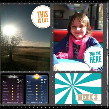 Project Life 2013 Week 3