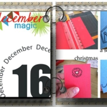 December Daily 2012 Day16