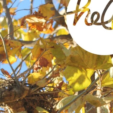 Digital Project Life | Week 46