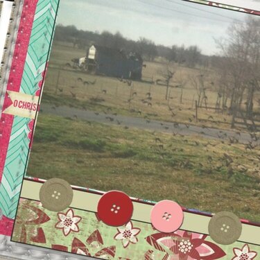 December Daily 2012 Day nine