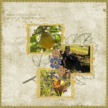 Pear Pickin&#039;...