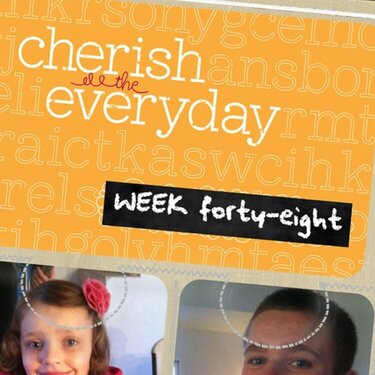 Project Life Week 48