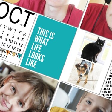 Digital Project Life | Week 43